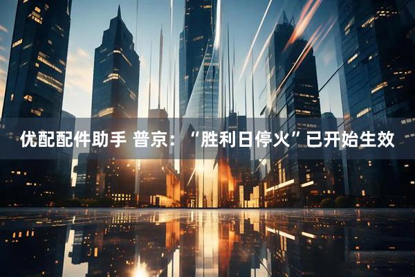 优配配件助手 普京：“胜利日停火”已开始生效