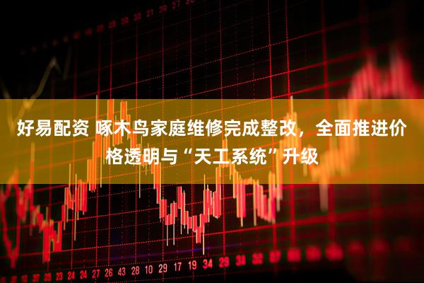 好易配资 啄木鸟家庭维修完成整改，全面推进价格透明与“天工系统”升级