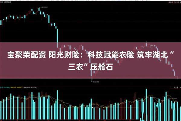 宝聚荣配资 阳光财险：科技赋能农险 筑牢湖北“三农”压舱石