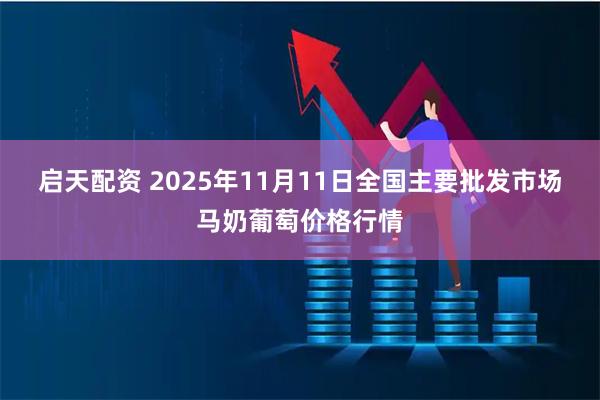 启天配资 2025年11月11日全国主要批发市场马奶葡萄价格行情
