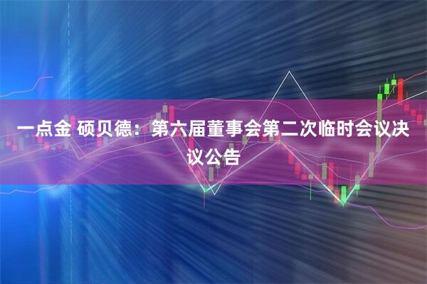 一点金 硕贝德：第六届董事会第二次临时会议决议公告