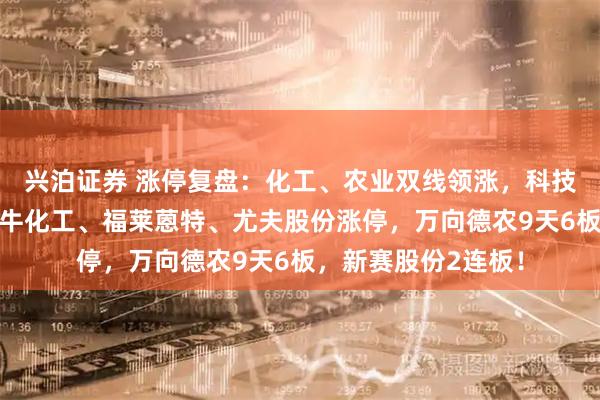 兴泊证券 涨停复盘:化工、农业双线领涨,科技反弹迎来分化!金牛化工、福莱蒽特、尤夫股份涨停,万向德农9天6板,新赛股份2连板!