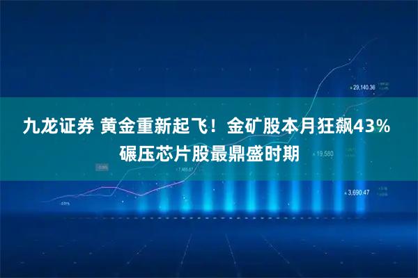 九龙证券 黄金重新起飞！金矿股本月狂飙43% 碾压芯片股最鼎盛时期